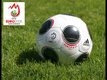   Dossier spcial football Euro 2008