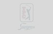 Tiger Woods PGA Tour 09