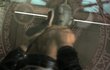 NIER