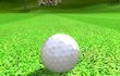 Everybody's Golf World Tour