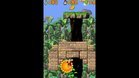 Images et photos Donkey Kong Jungle Climber
