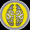 Gray Matter Gray Matter