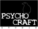 Psycho Craft Studio Psycho Craft Studio