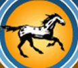 Appaloosa Interactive Appaloosa Interactive