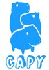 Capybara Games Capybara Games