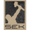 SEK SEK